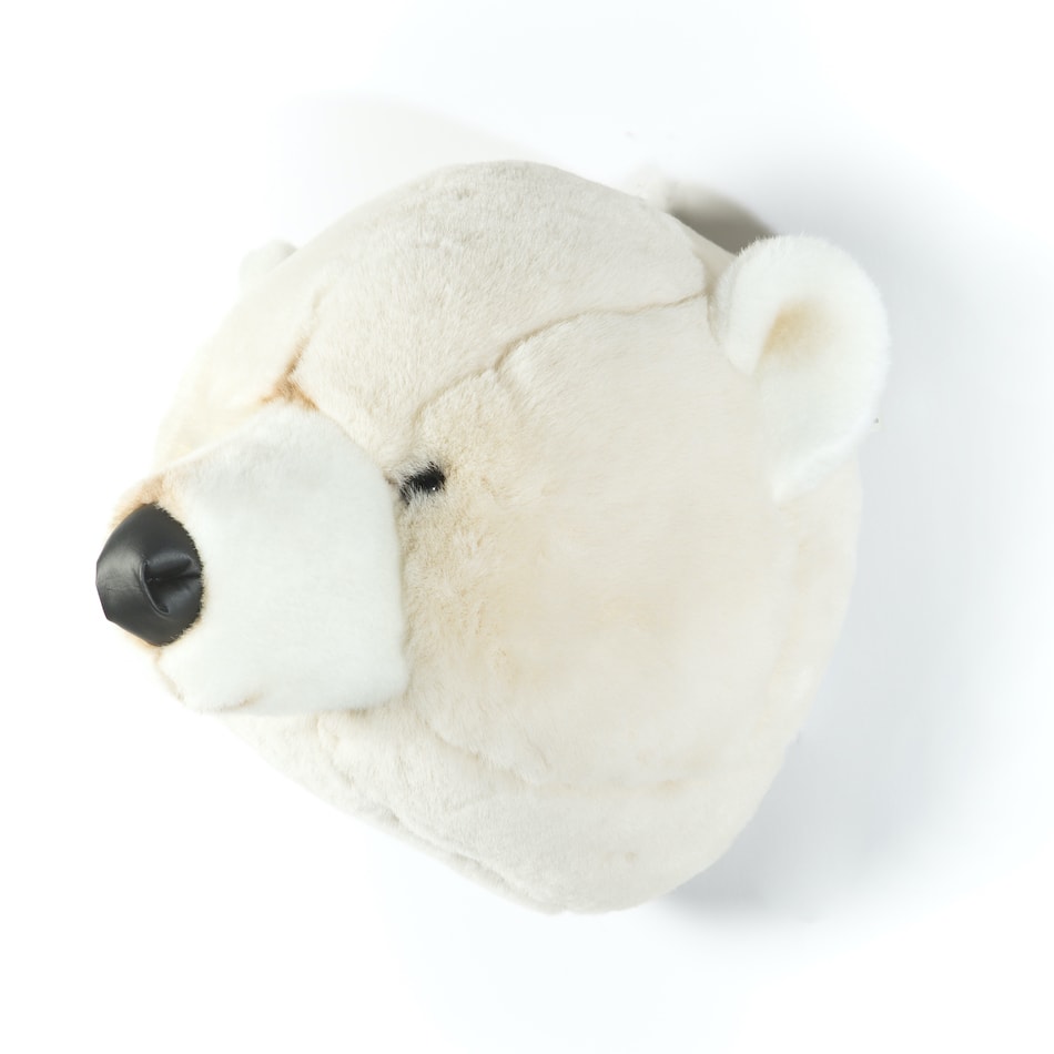 Wild & Soft Polar Bear Trophy Head - Basile