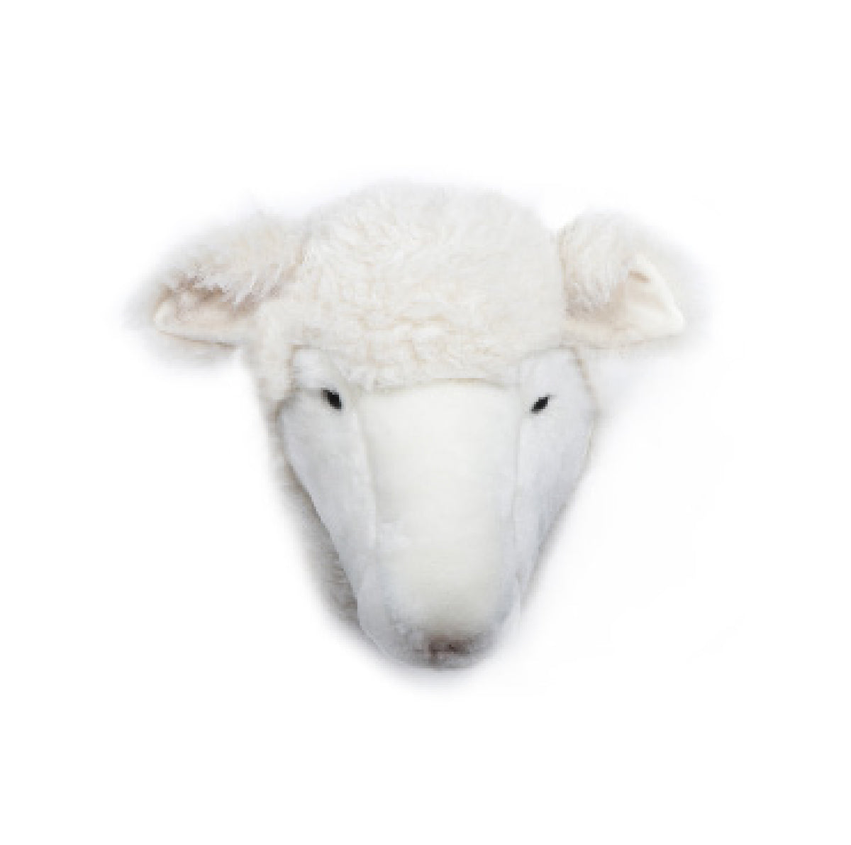 Wild & Soft Sheep Trophy Head - Harry