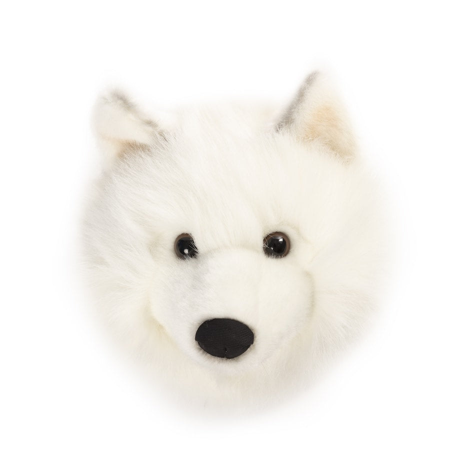 Wild & Soft White Wolf Trophy Heads – Lucy