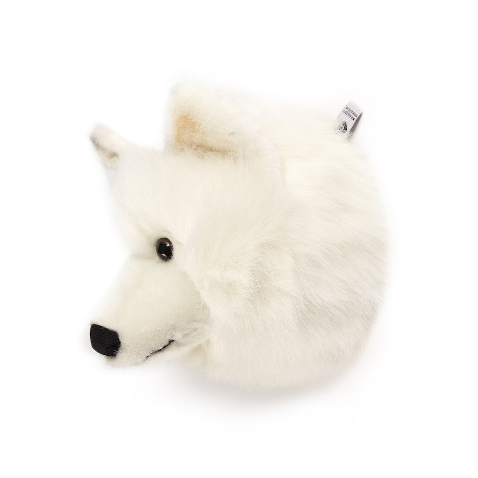 Wild & Soft White Wolf Trophy Heads – Lucy