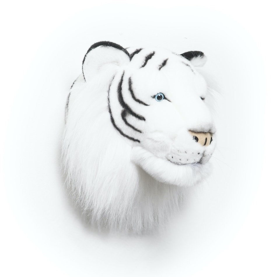Wild & Soft White Tiger Trophy Head - Albert