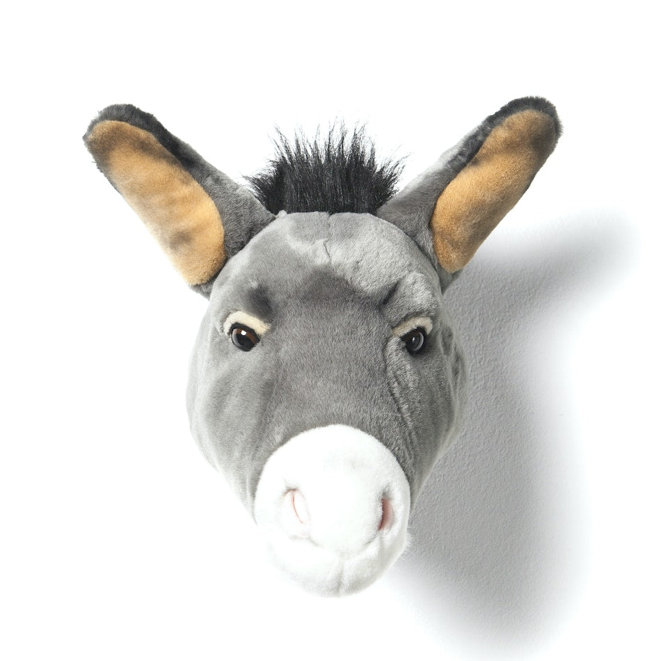 Wild & Soft Donkey Trophy Head – Francis