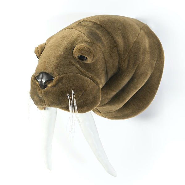 Wild & Soft Walrus Trophy Head - Jacob