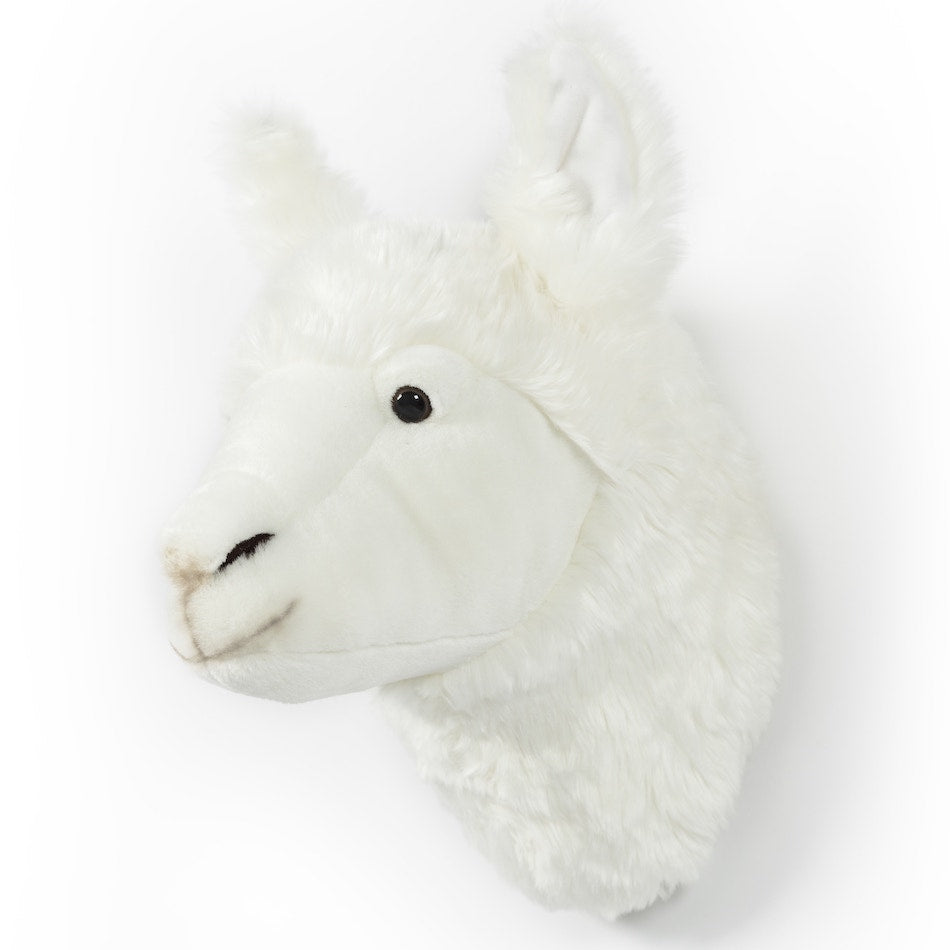 Wild and Soft Llama Trophy Head – Lily